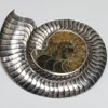 ブローチ（銀、アンモナイト） Brooch ammonite ,silver  5-69-1の写真