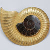 ブローチ（銀、アンモナイト） Brooch ammonite ,silver  5-69-2の写真